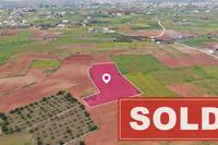 5640 SQM Land in Agioi Trimithias (Nicosia) for sale 
