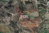 27445 SQM Land in Armou (Paphos) for sale 