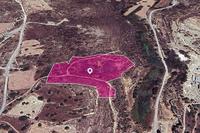 16273 SQM Land in Tochni (Larnaca) for sale 