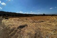3345 SQM Land · Nikitari (Nicosia) for sale 