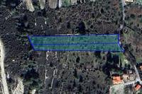 5353 SQM Plot in Pera Pedi (Limassol) for sale 
