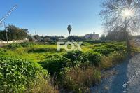 2000 SQM Land in Chlorakas (Paphos) for sale 