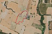 12041 SQM Land · Paramali (Limassol) for sale 