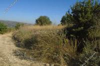 8938 SQM Land in Giolou (Paphos) for sale 