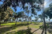 3 Bedroom Apartment in Potamos Germasogeias (Limassol) for sale 