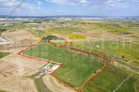 44482 SQM Plot in Kalo Chorio Larnacas (Larnaca) for sale 