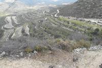 26840 SQM Land in Pachna (Limassol) for sale 
