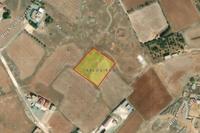 3135 SQM Land in Xylofagou (Larnaca) for sale 