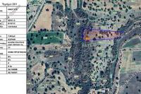 7693 SQM Land in Anogyra (Limassol) for sale 