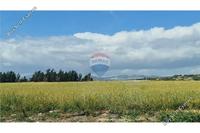 3000 SQM Plot in Zygi (Larnaca) for sale 