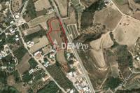 8771 SQM Land · Goudi (Paphos) for sale 