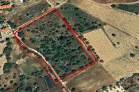 10703 SQM Plot · Silikou (Limassol) for sale 