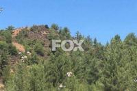 14550 SQM Land · Kato Platres (Limassol) for sale 