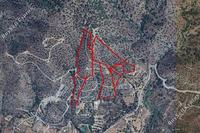 112526 SQM Land in Foinikaria (Limassol) for sale 