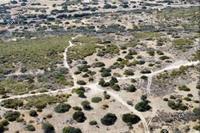 9031 SQM Land · Avdimou (Limassol) for sale 