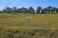 618 SQM Plot in Psimolofou (Nicosia) for sale 