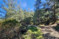 6857 SQM Land · Pelendri (Limassol) for sale 