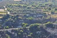 7804 SQM Land · Filousa Kelokedaron (Paphos) for sale 
