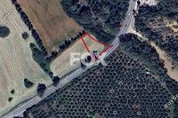 1087 SQM Land · Poli Chrysochous (Paphos) for sale 