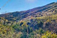 4014 SQM Land · Melini (Larnaca) for sale 