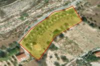 3672 SQM Plot in Lofou (Limassol) for sale 