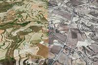 2350 SQM Land in Kallepeia (Paphos) for sale 