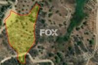 9365 SQM Land in Kinousa (Paphos) for sale 