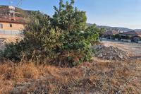 277 SQM Plot · Paramytha (Limassol) for sale 