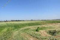 9159 SQM Land · Paralimni (Famagusta) for sale 