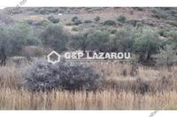 4431 SQM Land in Ora (Larnaca) for sale 