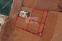 8179 SQM Plot in Psimolofou (Nicosia) for sale 