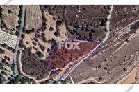 2174 SQM Land in Milia pafou (Paphos) for sale 