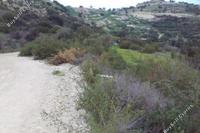 15562 SQM Land · Drousia (Paphos) for sale 