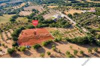 7024 SQM Land in Giolou (Paphos) for sale 