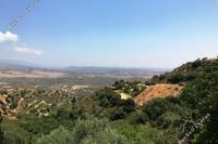 16389 SQM Land · Pachna (Limassol) for sale 