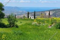 23000 SQM Land · Meladia (Paphos) for sale 