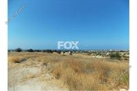 9999 SQM Land in Kolossi (Limassol) for sale 