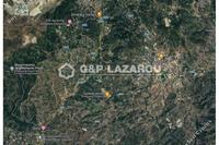 10368 SQM Land in Pelendri (Limassol) for sale 