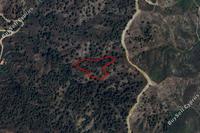 5352 SQM Land · Kakopetria (Nicosia) for sale 