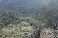 10703 SQM Land in Xyliatos (Nicosia) for sale 