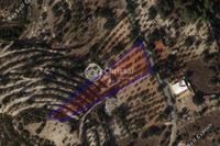 2836 SQM Land · Apesia (Limassol) for sale 