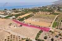 5519 SQM Land in Argaka (Paphos) for sale 