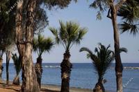 3 Bedroom Apartment · Mouttagiaka (Limassol) for sale 