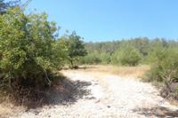 29098 SQM Land · Archimandrita (Paphos) for sale 