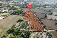 8910 SQM Land in Pera Orinis (Nicosia) for sale 