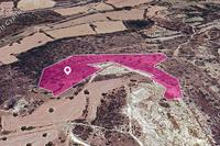 20068 SQM Land in Agios Theodoros Larnacas (Larnaca) for sale 