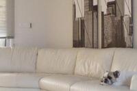 1 Bedroom Apartment · Aglantzia (Nicosia) for sale 