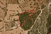 9365 SQM Land · Neo Chorio (Paphos) for sale 