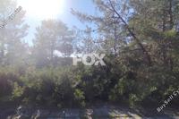 8696 SQM Land · Asgata (Limassol) for sale 