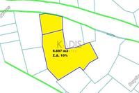6697 SQM Land in Alampra (Nicosia) for sale 